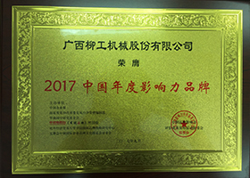 2017 Annual Influential Brand in China